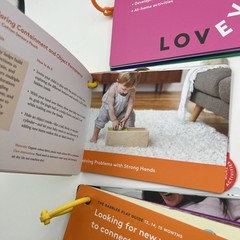 Lot of 3 Lovevery Play Guides from 9 – 15 Months LOVE EVERY BABY BABBLER