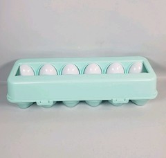 Baby/Toddler Carton Of Eggs Color And Shape Matching Toy