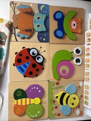 Montessori Developmental Toddler Jigsaw 6 Puzzle Wooden Complete Set W Cards Bag