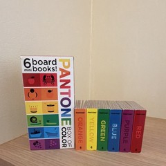 Pantone Box of Color 6 Board Mini Books Set Orange Yellow Green Blue Purple Red