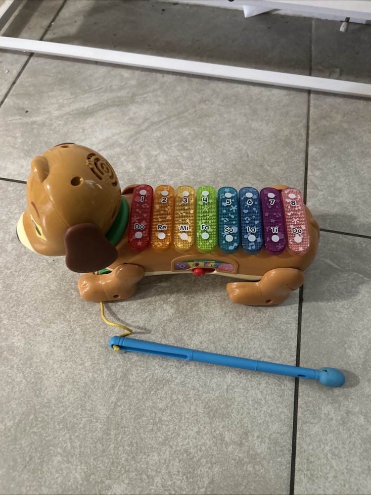VTech Zoo Jamz Doggy Xylophone with Accessories, Baby and Toddler Toys