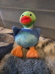 Rare Vintage Baby Einstein Vivaldi Duck 2004 Squeaks & Crinkles Plush Toy