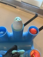 FAO Sea Life Pop-Up Toy Blue/Green Multicolor Hand-Eye & Motor Skills