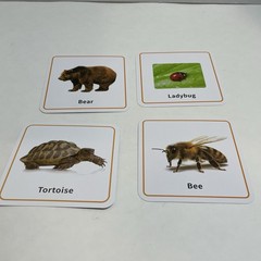 Montessori Developmental Toddler Jigsaw Puzzles, Wooden, Complete Set of 4