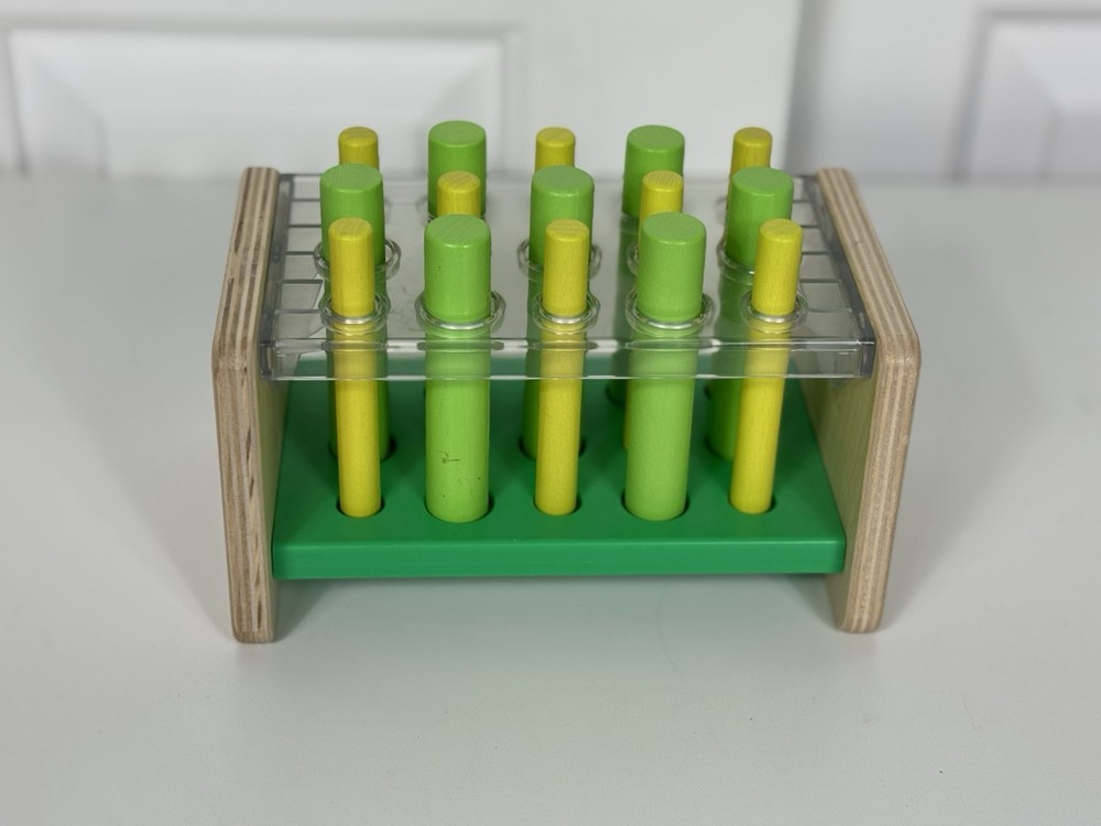 Lovevery Wooden Posting Stand Pegs 18-24 Months Companion Play Kit