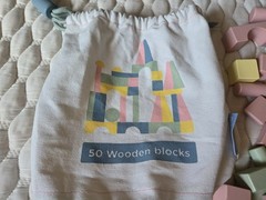 Developmental Learning Toy Assorted Small Pastel Wooden Building Blocks