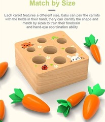 Montessori Carrot Sorting Toy Wooden Baby Puzzle 1-3 Years