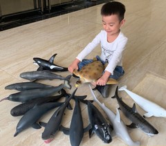 Kids Simulated Ocean Big Animal 15Inch Soft Filled Rubber Sea Educational Toys