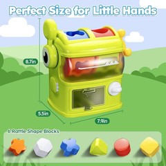 Montessori Shape Sorter Learning Toys for 1 Years Old, Baby Toys 12-18 Months wi