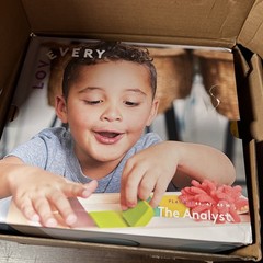 Lovevery The Analyst Play Kit for Months 46, 47, 48 3.5-4 Years Montessori