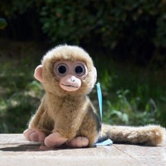 cartoon animal big eyes long tail monkey soft stuffed doll small toy plush toy