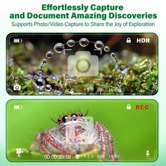 Microscope for 7.4 x 12.6 x 1.7 inches, Bug Catcher & Kits Green