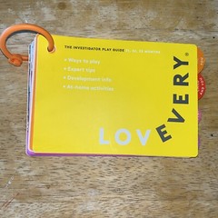 Lovevery Play Guide, The Investigator Play Guide 31, 32 & 33 Months