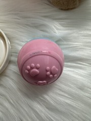 Vtech Care for Me Learning Puppy Carrier Toy Includes Accessories Works Pink Dog