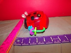 Little Ladybug Learning Journey Early Learning Crawl About Ladybug – Ages 1+