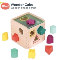 Wooden Shape Sorter Cube, 9 Colorful Shapes, Educational Wooden Toy for Toddlers