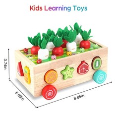 Toddlers Montessori Wooden Educational Toys for Baby Boys Girls Age 1 2 3 Year O
