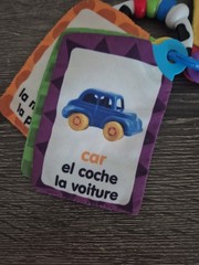 BABY EINSTEIN Take Along Discovery Cards Clip-on 10 Images Crinkle Teether Toy.
