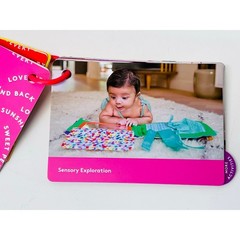 Lovevery The Looker Play Guide