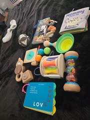 Lovevery Mixed Lot Wooden Montessori Baby Toddler Toy Bundle