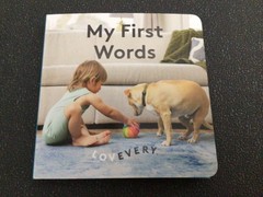 LOVEVERY BOOKS – BABY MATH – MY FIRST WORDS – 11 – 12 MONTHS- PLUS EXTRAS