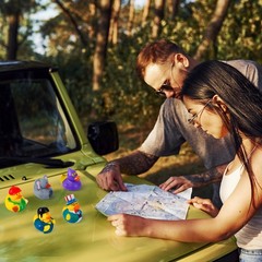 JOYIN 30 Pcs Rubber Ducks, Random Assortment Ducks Bulk with Mesh Carry Small
