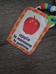 BABY EINSTEIN Take Along Discovery Cards Clip-on 10 Images Crinkle Teether Toy.