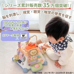 Addictive Box Plus Educational Activity Toy