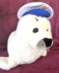 Navy Hat Seal Dress Sea Dog Phoca Vitulina Lions Ocean Cartoon Animal Marine