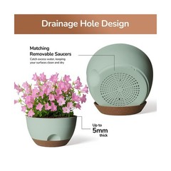 12 Inch Large Self Watering Pots, 2 Pack Plant Pots with Draina… FAST USA SHIP