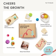 Tiny Land Montessori Toy Set for Babies 7-9 Months Senser Play Kit – Medium