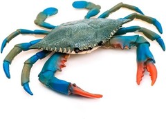 Interactive Blue Crab Toy for Kids – Perfect for Bath Play and Coastal Decor
