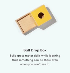 Lovevery Montessori Ball Drop Box from The Inspector Play Kit Months 7-8