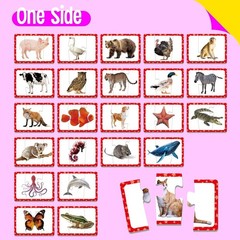 Vibrant 48 Animal Matching Puzzles for Toddlers – Learn & Play Educational Game