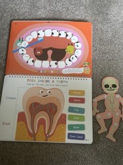 Montessori Busy Book for Kids, Human Body Anatomy Book for Toddlers Preschool