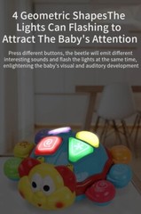 Turtle Electric Music Crawling Spanish/ English Baby, Toddler Toy -Tummy Time
