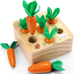 Montessori Carrots Game Gift, 7 Different Sizes, Shape Matching, Problem Solving