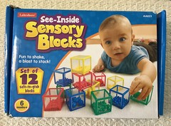 Lakeshore Learning SEE-INSIDE SENSORY BLOCKS – 3 Sizes, 4 Colors, AA823