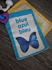 BABY EINSTEIN Take Along Discovery Cards Clip-on 10 Images Crinkle Teether Toy.