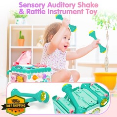 AmiDear Blue Montessori Bus Toddler Toy