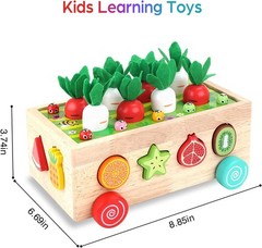 Montessori Wooden Shape Sorting Toy for 1-3 Olds