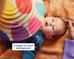 Lovevery Looker (Ladybug Included!) Complete New Newborn Play Kit Viral