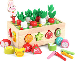 Toddlers Montessori Wooden Educational Toys for Baby Boys Girls Age 1 2 3 Year