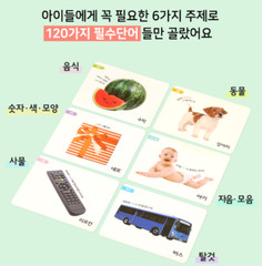 Pinkfong Flash Cards 120 Korean Language Learning Words Toddler Kid Play Toy