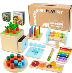 Wooden Montessori Toys for 1+ Year Old, 9 in 1 Educational Play Kit | Baby Toys