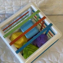 Fat Brain Toys Inny Bin Baby Sensory Develop Learn Shape Sorter Montessori Used