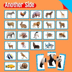 Vibrant 48 Animal Matching Puzzles for Toddlers – Learn & Play Educational Game