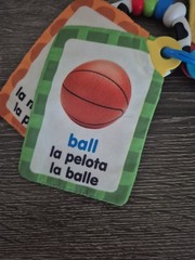 BABY EINSTEIN Take Along Discovery Cards Clip-on 10 Images Crinkle Teether Toy.
