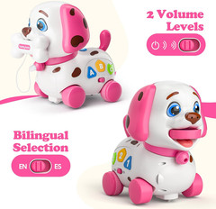 Musical Toys for 1 Year Old Girl Gifts, Bilingual Baby Toys 6-12-18 Months, Firs