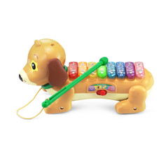 Zoo Jamz Doggy Xylophone with Accessories, Baby and Toddler Toys